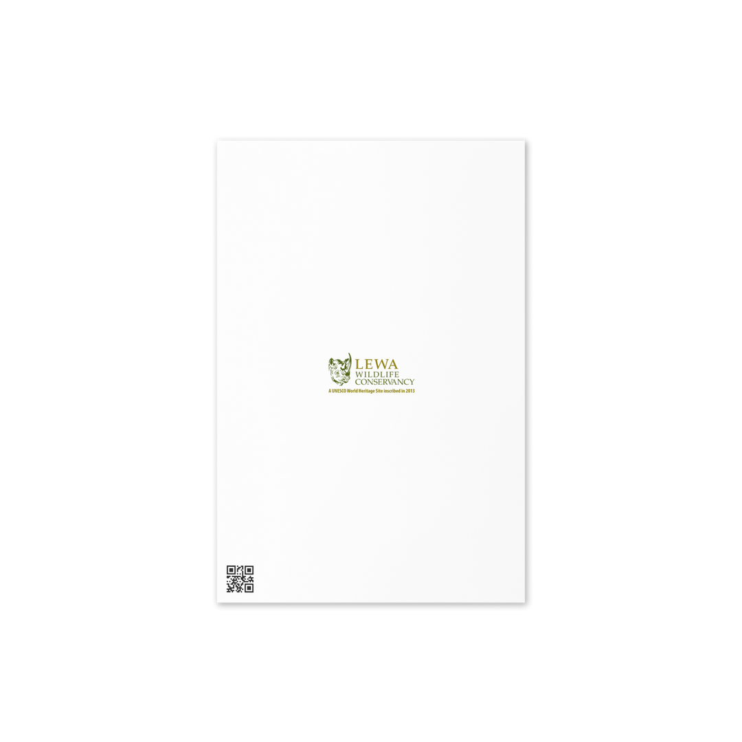 Lewa Grevy's Zebra Greeting Card